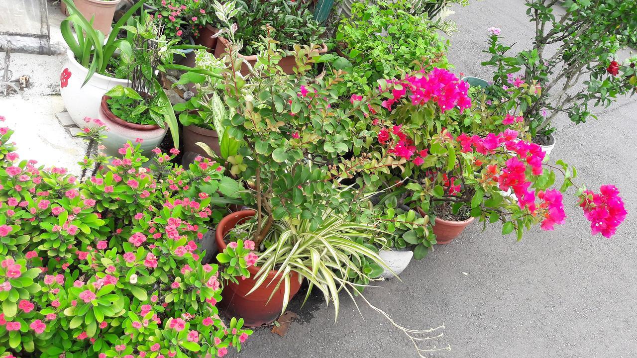 Hai Xia Your Home Fulong Esterno foto